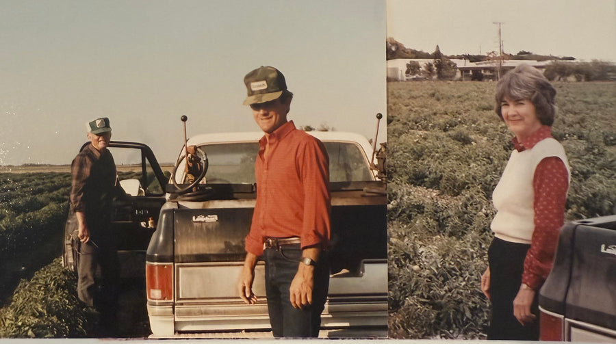 Pine Island Farms archive