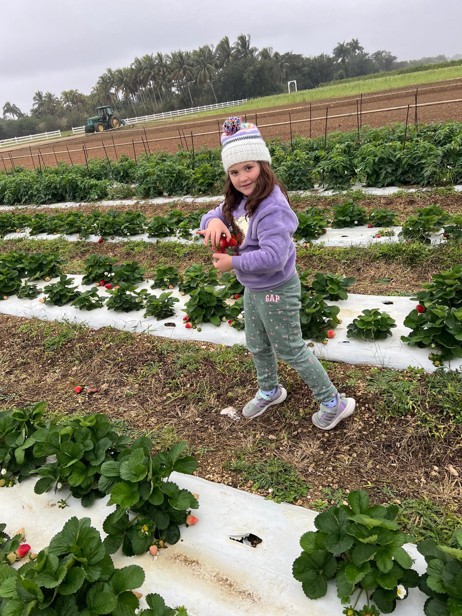 The Full Strawberry Festival Experience