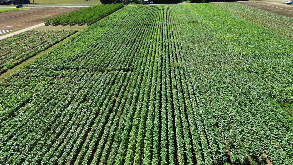 Farm and Grounds