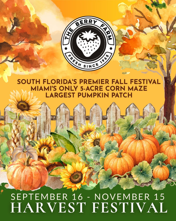 Harvest Festival