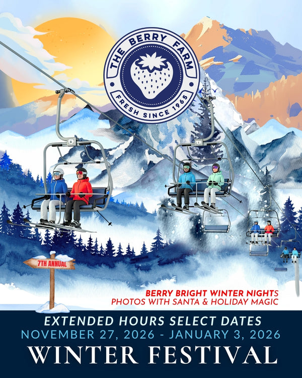 Winter Festival
