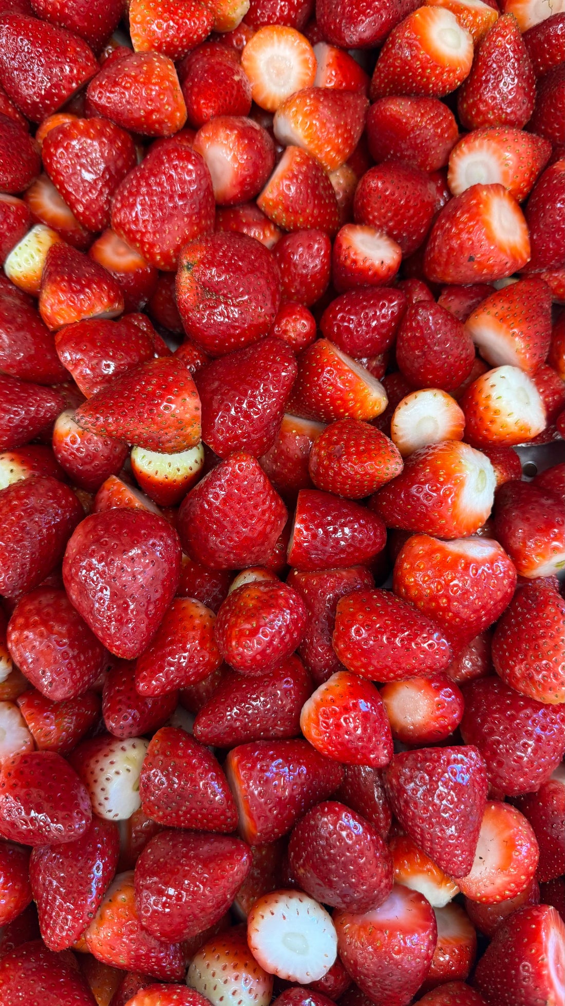 Strawberry Ceviche Competition