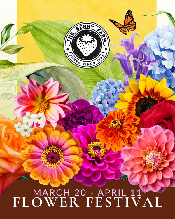 Flower Festival