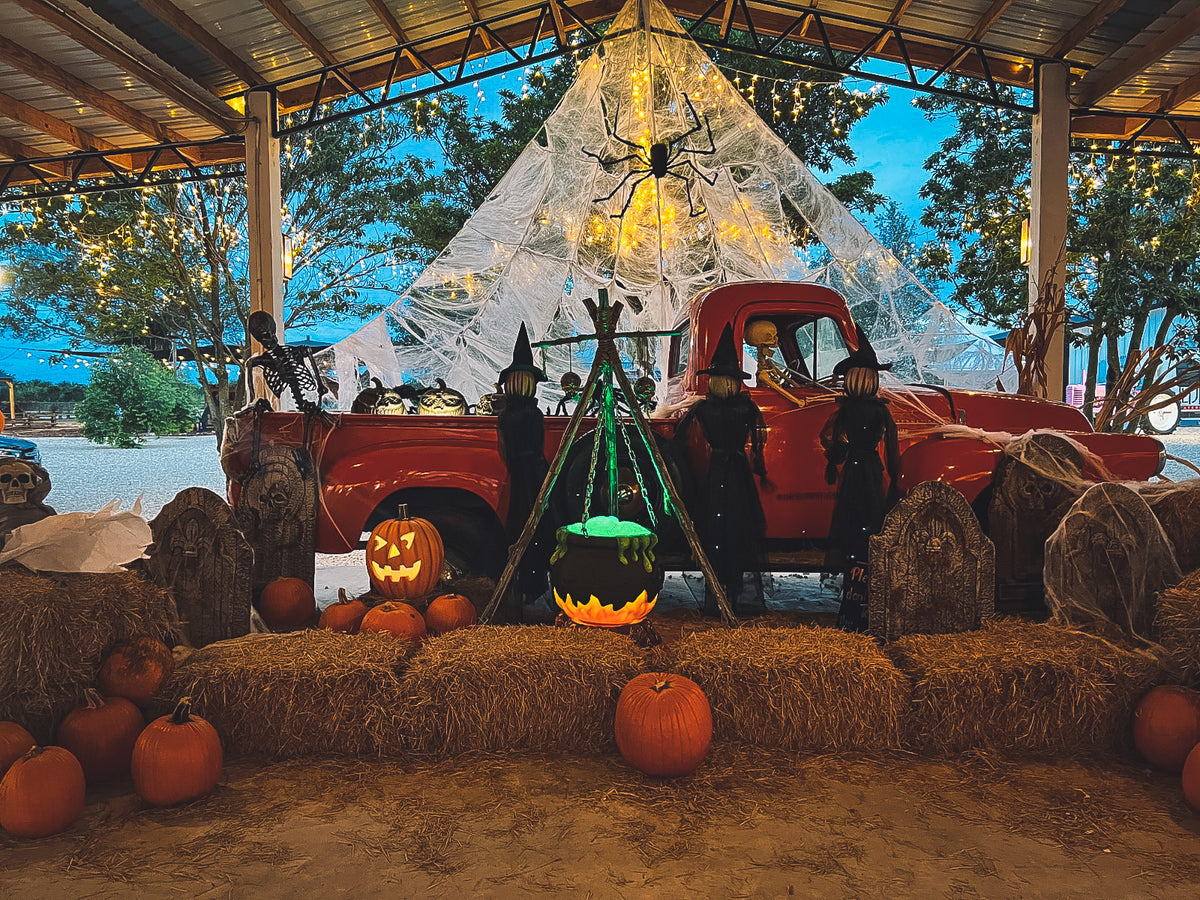 Boo at the Patch