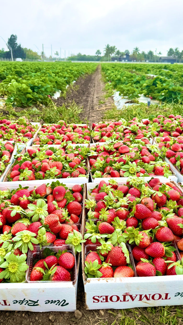 STRAWBERRIES