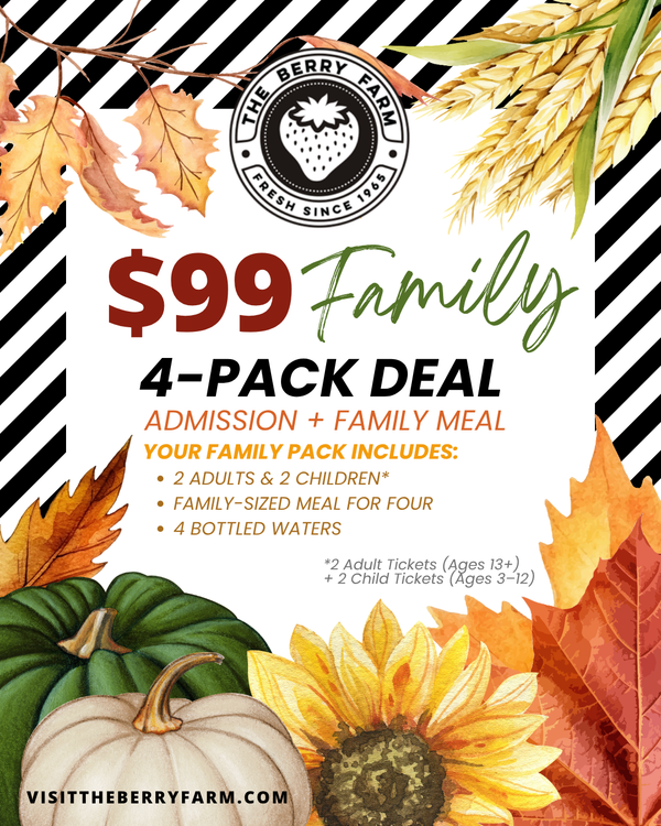 Family 4-Pack Day Pass