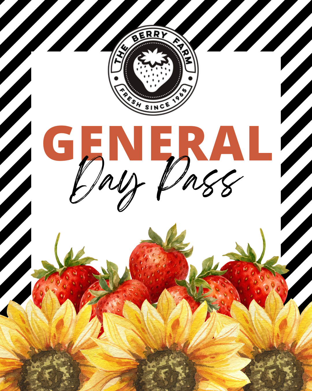 Non-Festival General Admission
