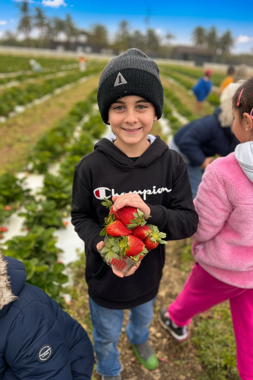 A young boy wearing a black hoodie and a dark knit beanie stands in a strawberry field, holding a small cluster of fresh red strawberries. Other children and rows of strawberry plants are visible in the background at The Berry Farm during school field trip. 