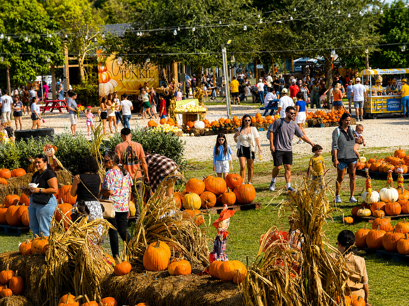 Peak Fall