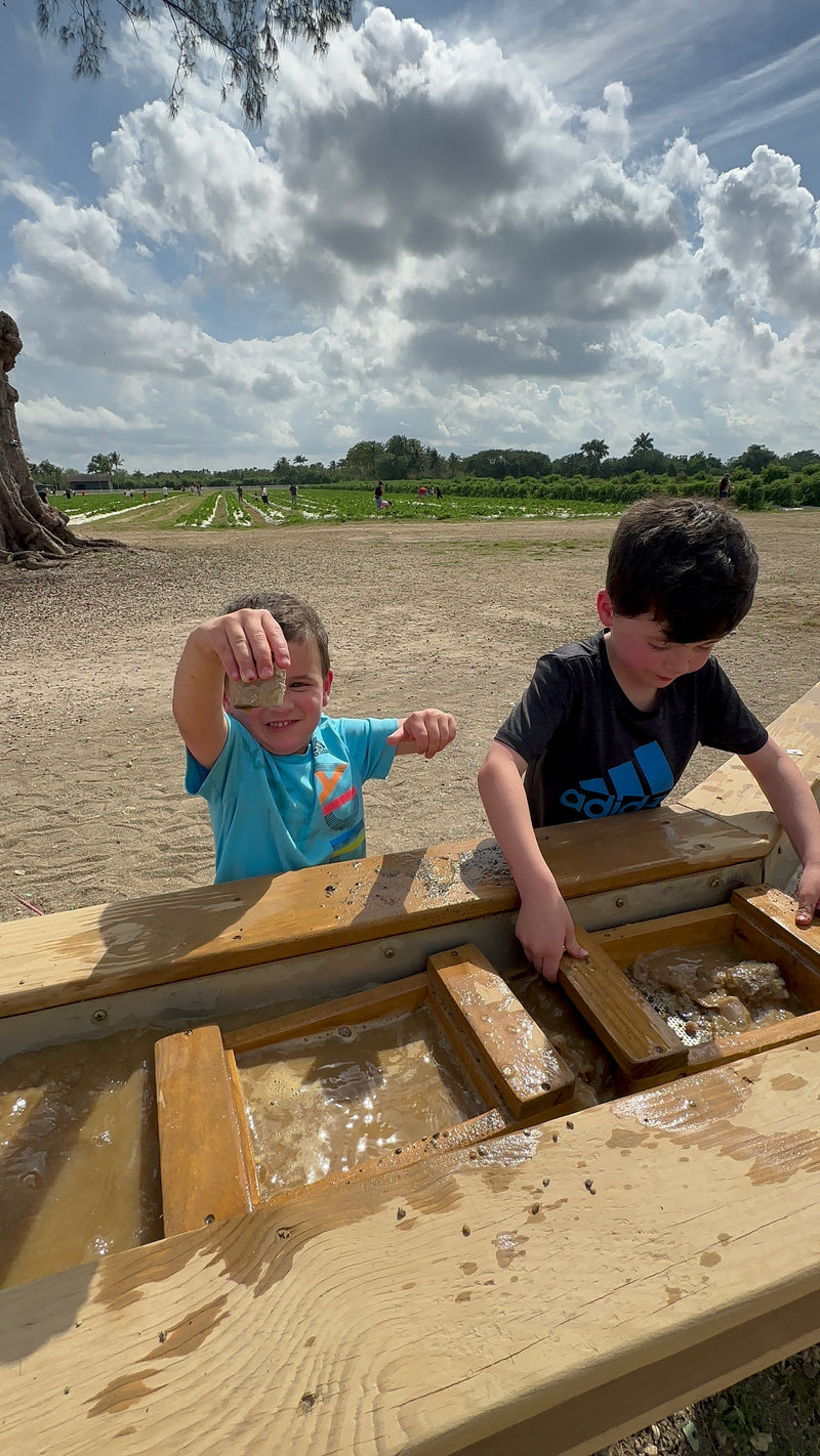 GEM MINING