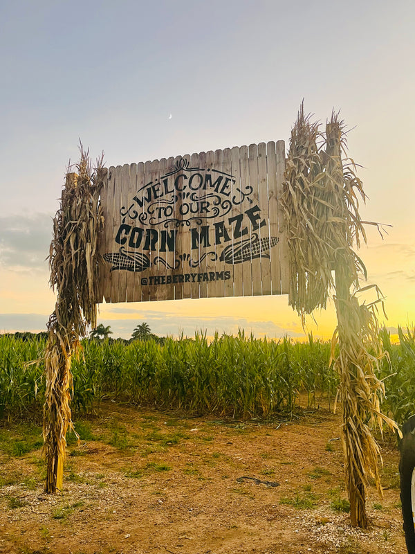 5-Acre Corn Maze