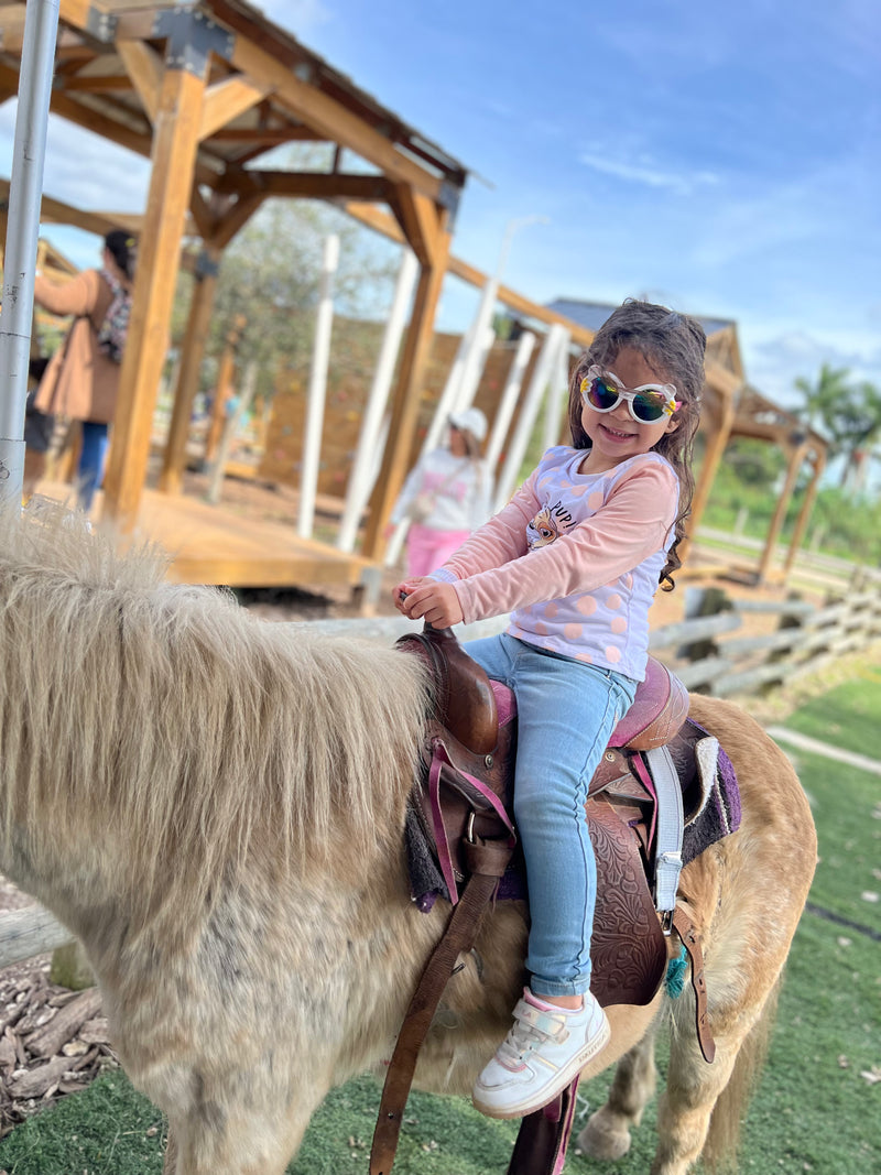 PONY RIDES