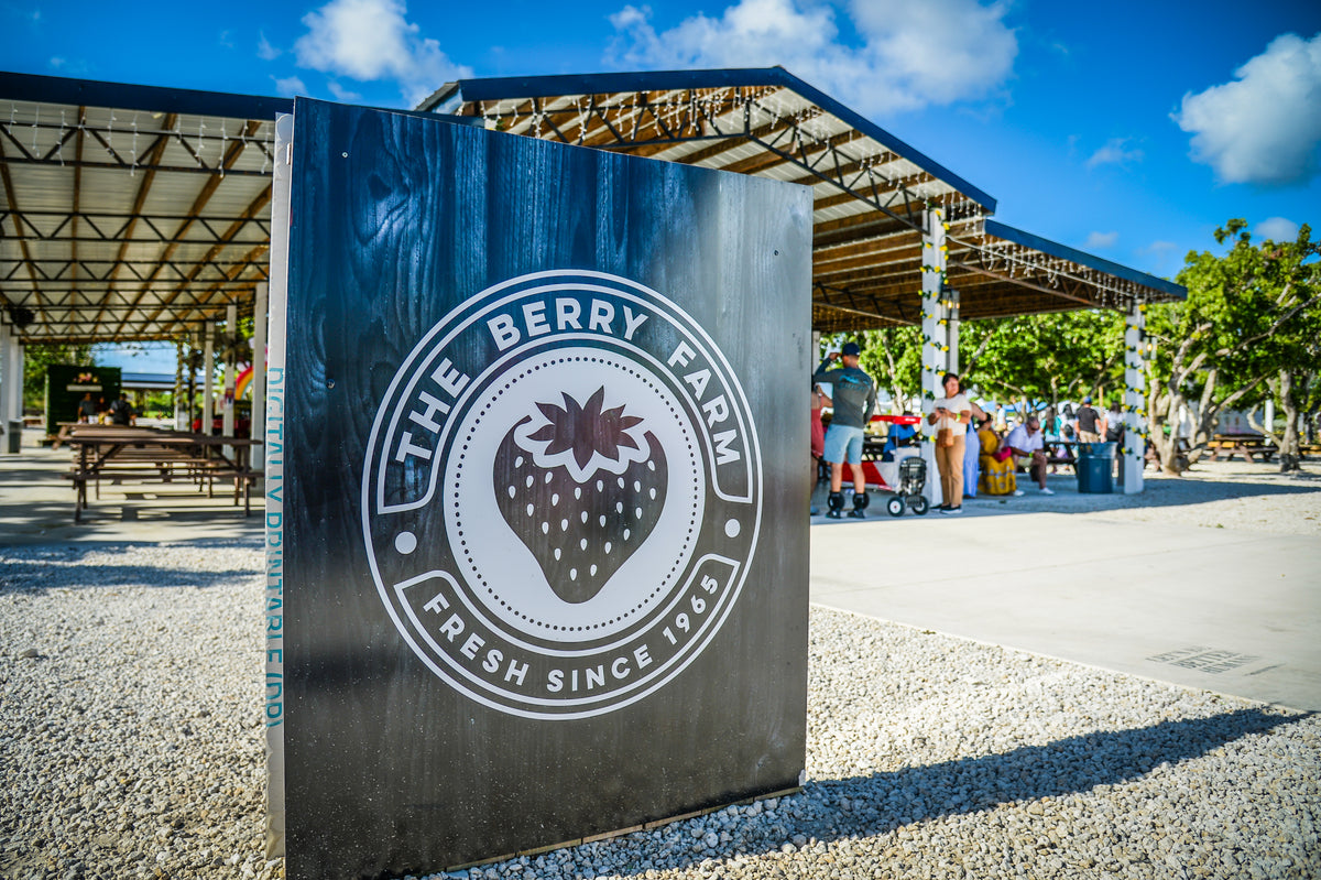 A family experience at The Berry Farm