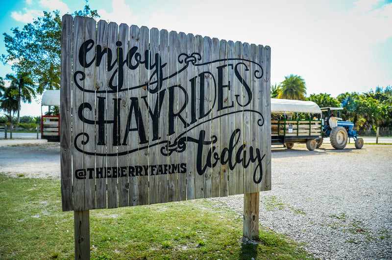 HAYRIDES