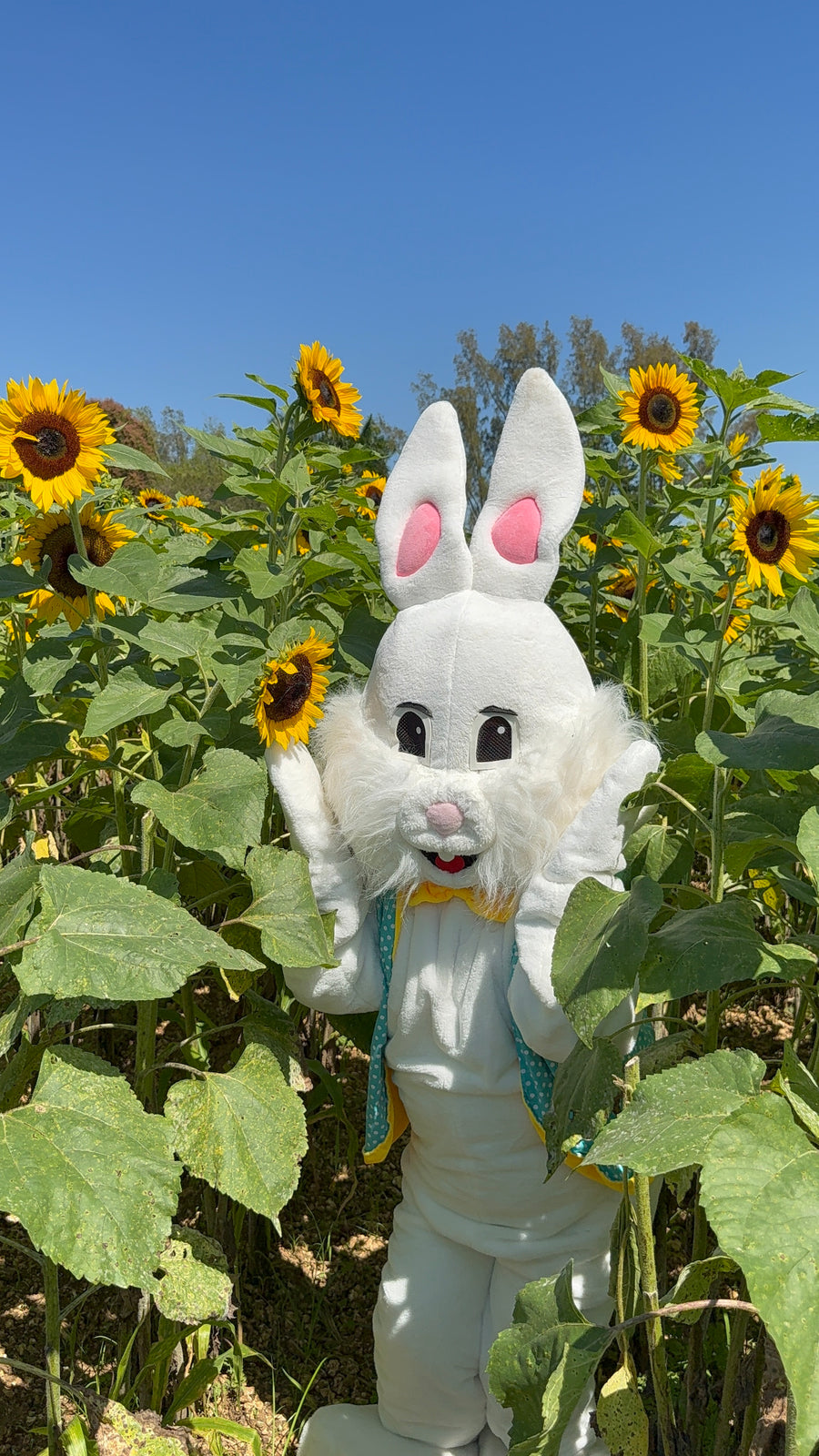Easter Eggstravaganza
