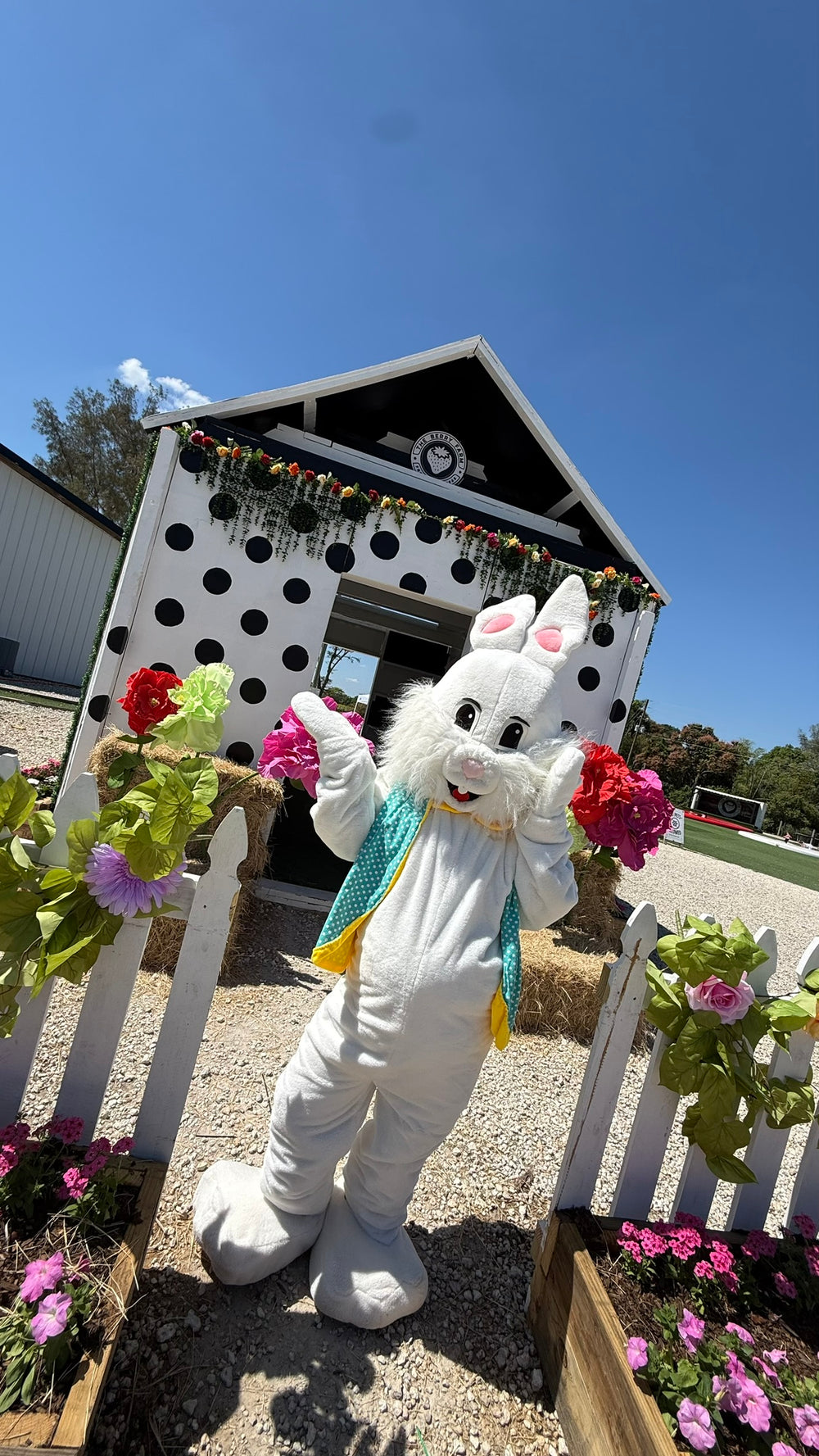 Easter Eggstravaganza