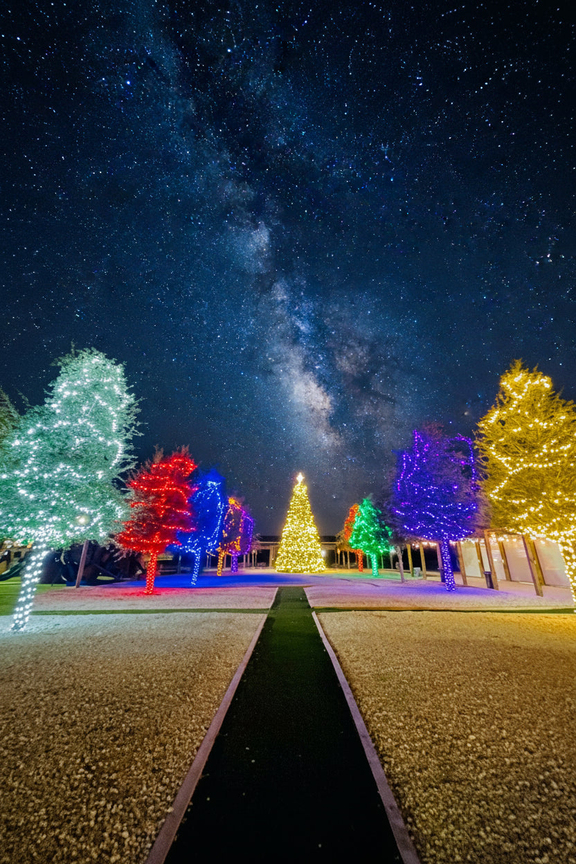 A nighttime view of a landscaped walkway at The Berry Farm, leading toward a decorated Christmas tree, with several trees on both sides wrapped in multicolored holiday lights in white, red, blue, green, and yellow.