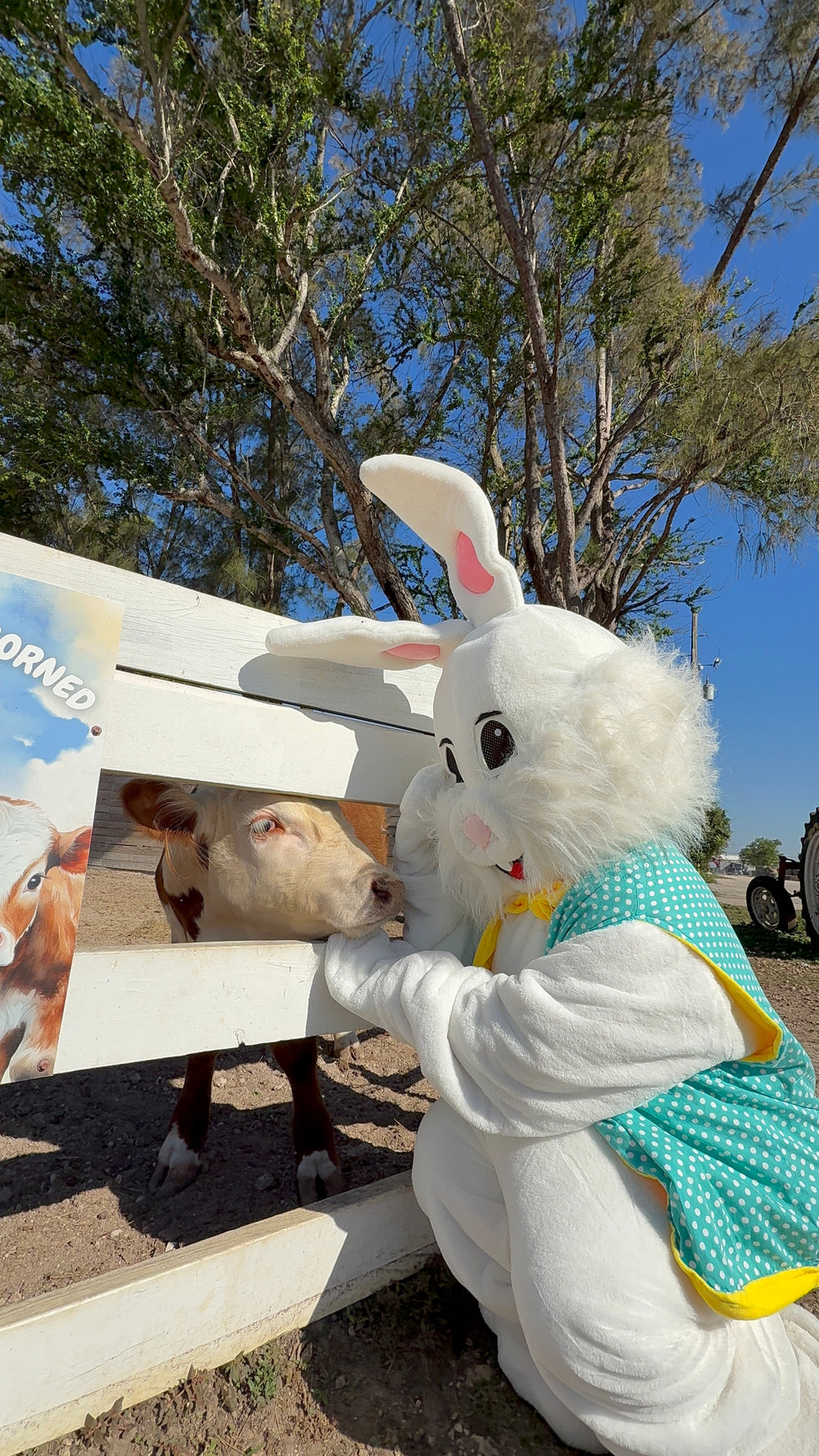 Hayrides & Farm Attractions