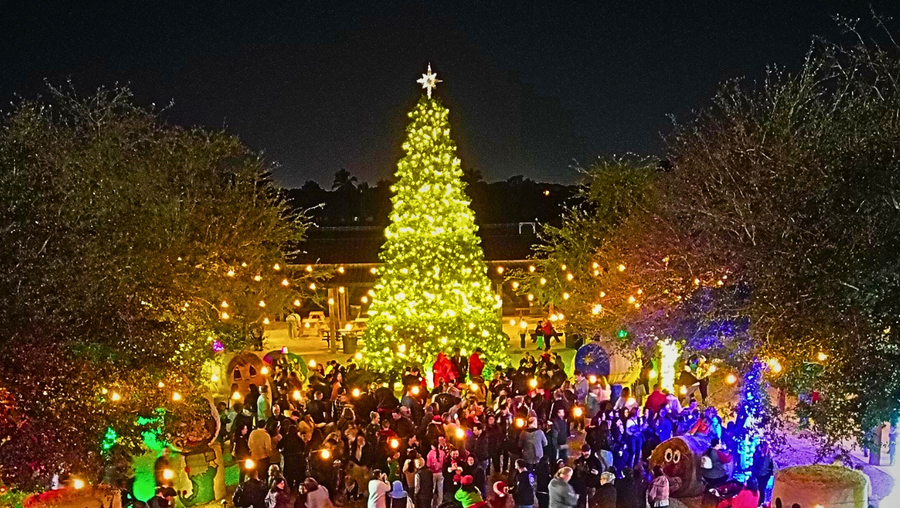 WINTER FESTIVAL