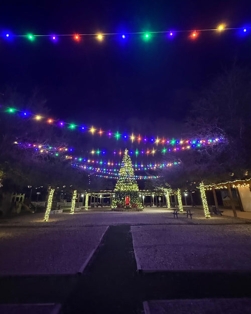 Tree Lighting Ceremony