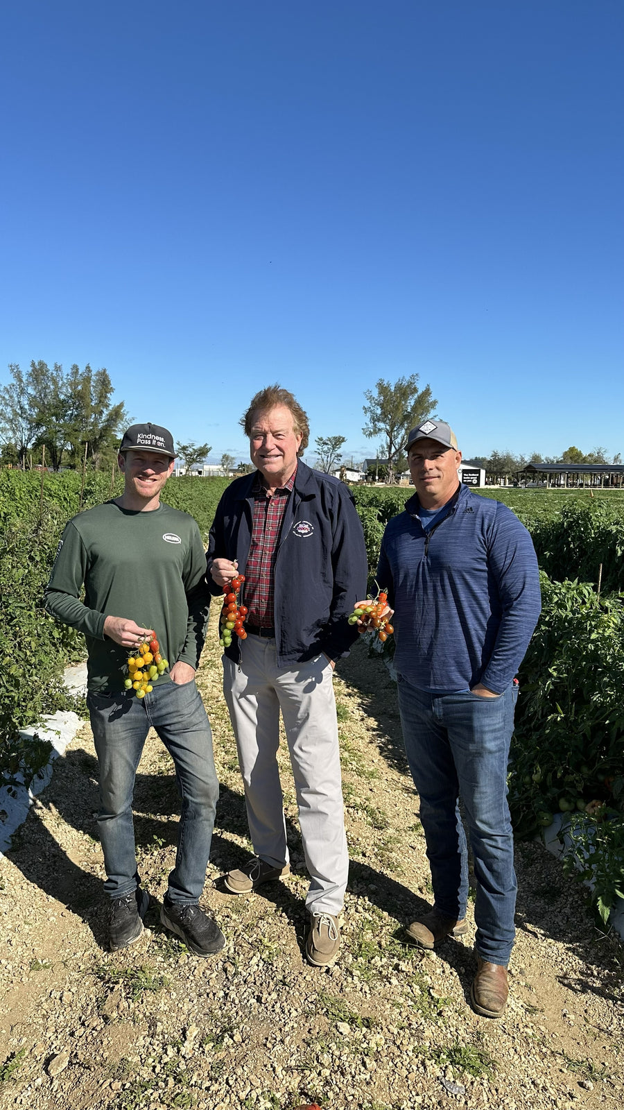 The Berry Farm team at work
